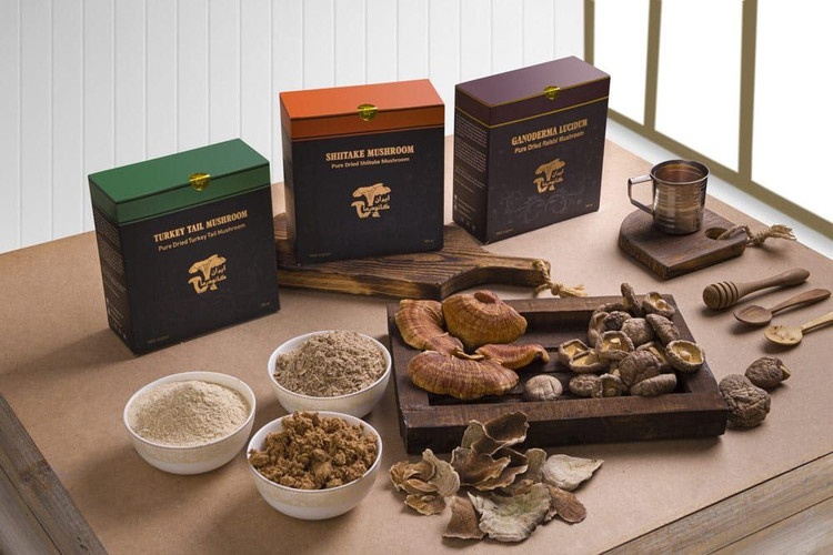 "با برنامه درمانی ما، به سفری جدید سلامت و زیبایی آغاز کنید و زندگی خود را دگرگون کنید!"